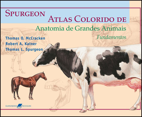 ATLAS COLORIDO DE ANATOMIA DE GRANDES ANIMAIS: fundamentos